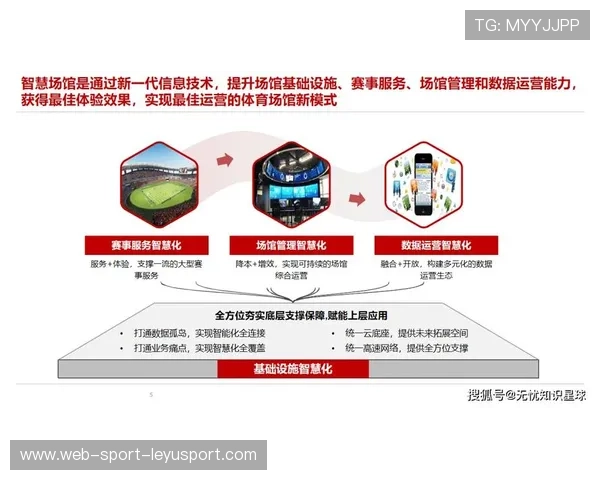 城市级体育产业集群建设的运营模式，体育产业集群的概念